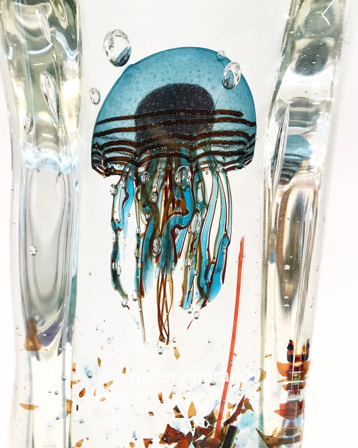 Аквариум с голубой медузой